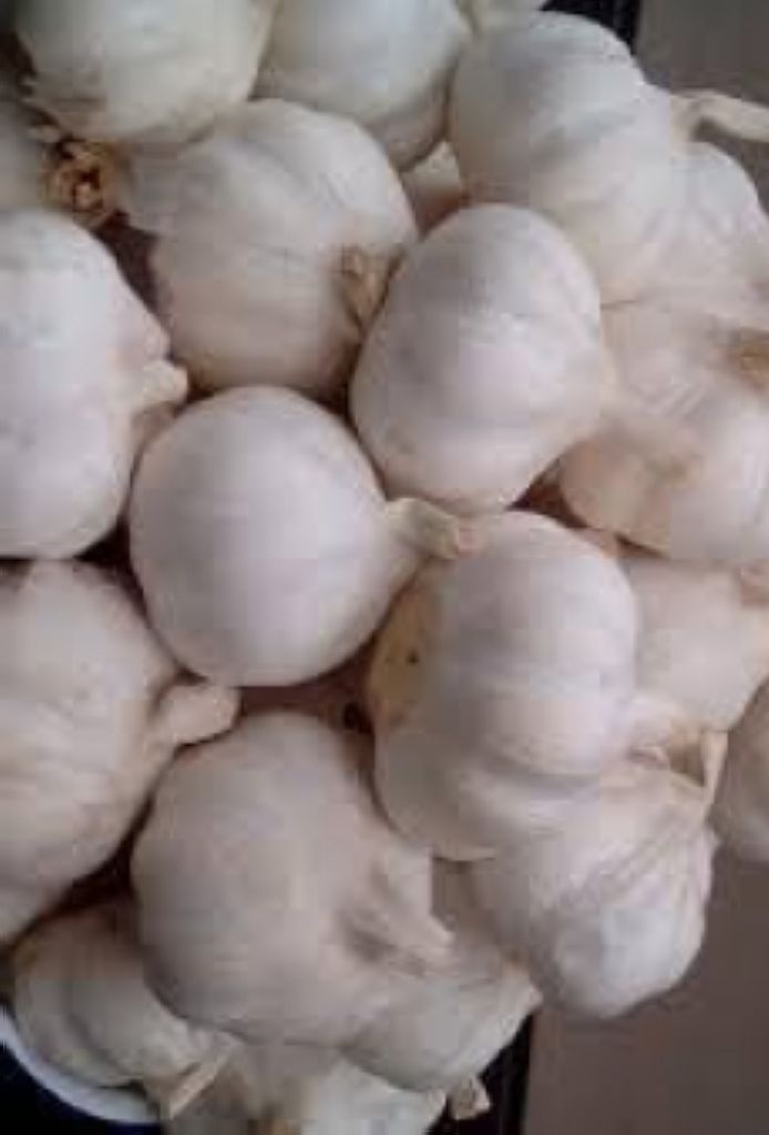 Rawat Rambut Dengan Bawang Putih